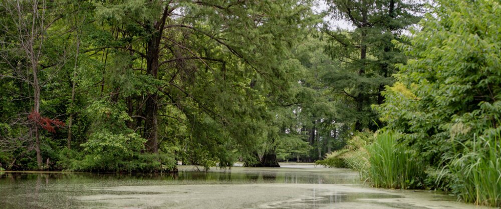 Crittenden County Classic Tour Header