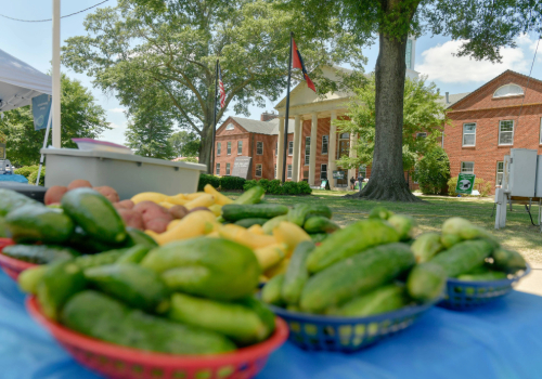 DeSoto County Discovery Day