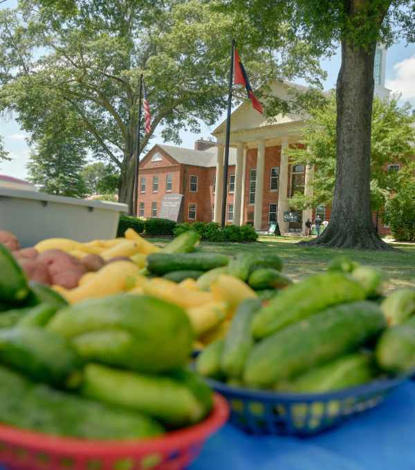 DeSoto County Discovery Day